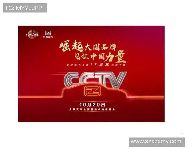 武汉排球队转型之路：从传统强队到新兴力量的全面解读